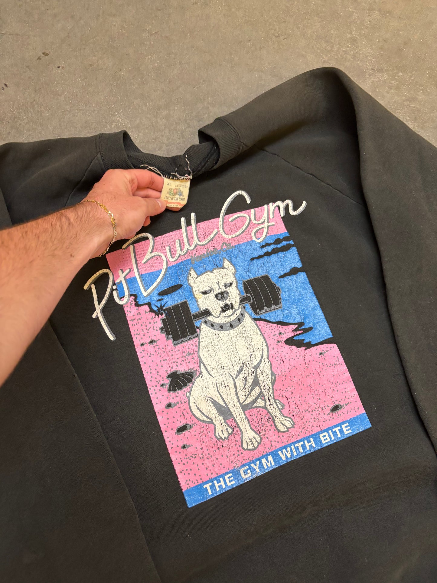 90s Pitbull Gym Sweatshirt - XL