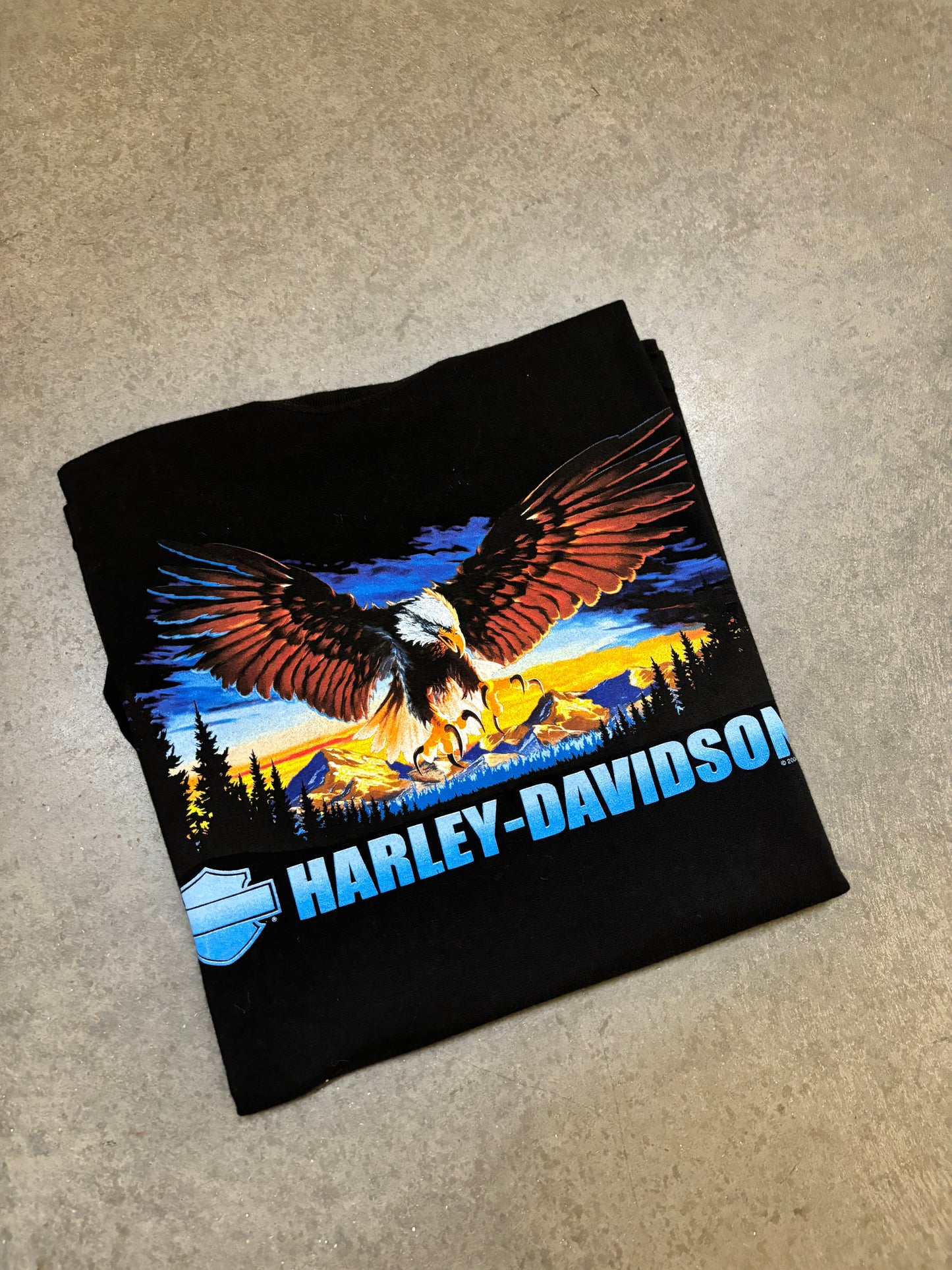 Harley Davidson Tee - L